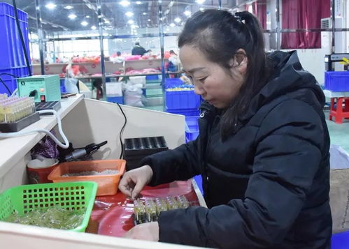 大龍企業 優質產品驅動訂單增長，培訓活動助力持續發展